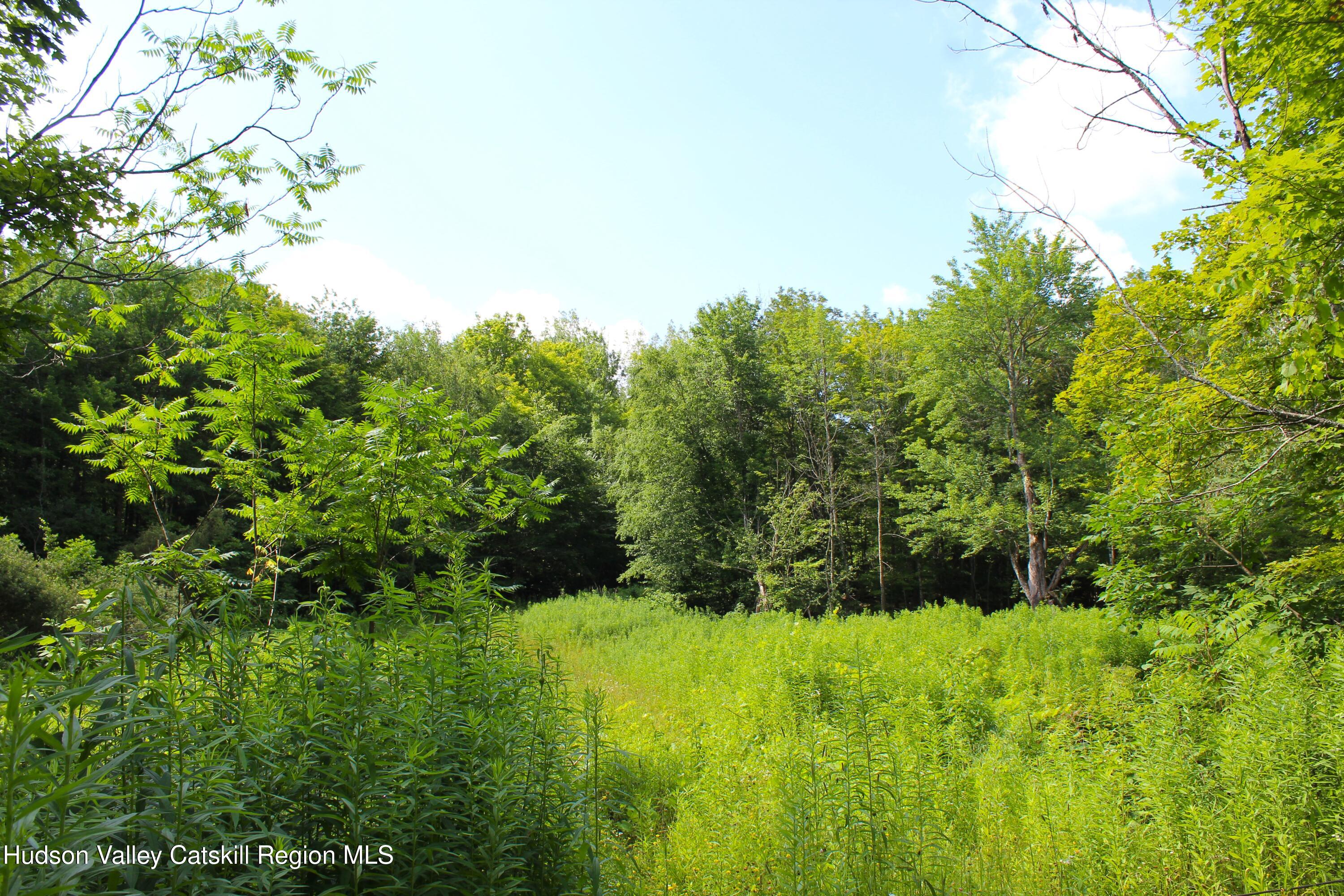 174 High Peak Road Windham, NY 12439 - Photo 3 of 11 Photo 2