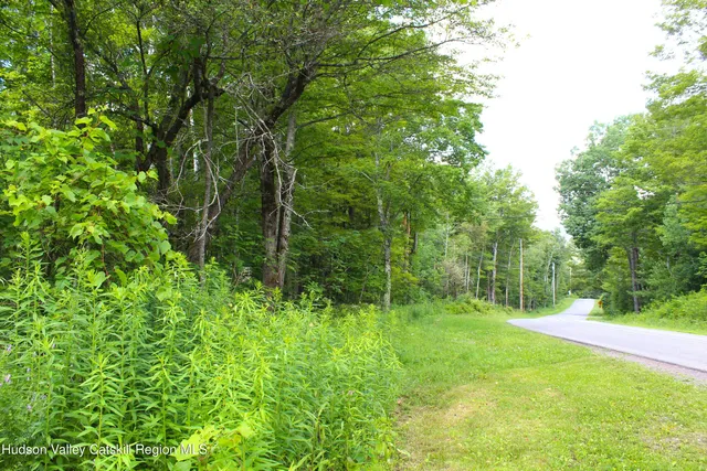 $100,000 | 174 High Peak Road, Windham, NY 12439