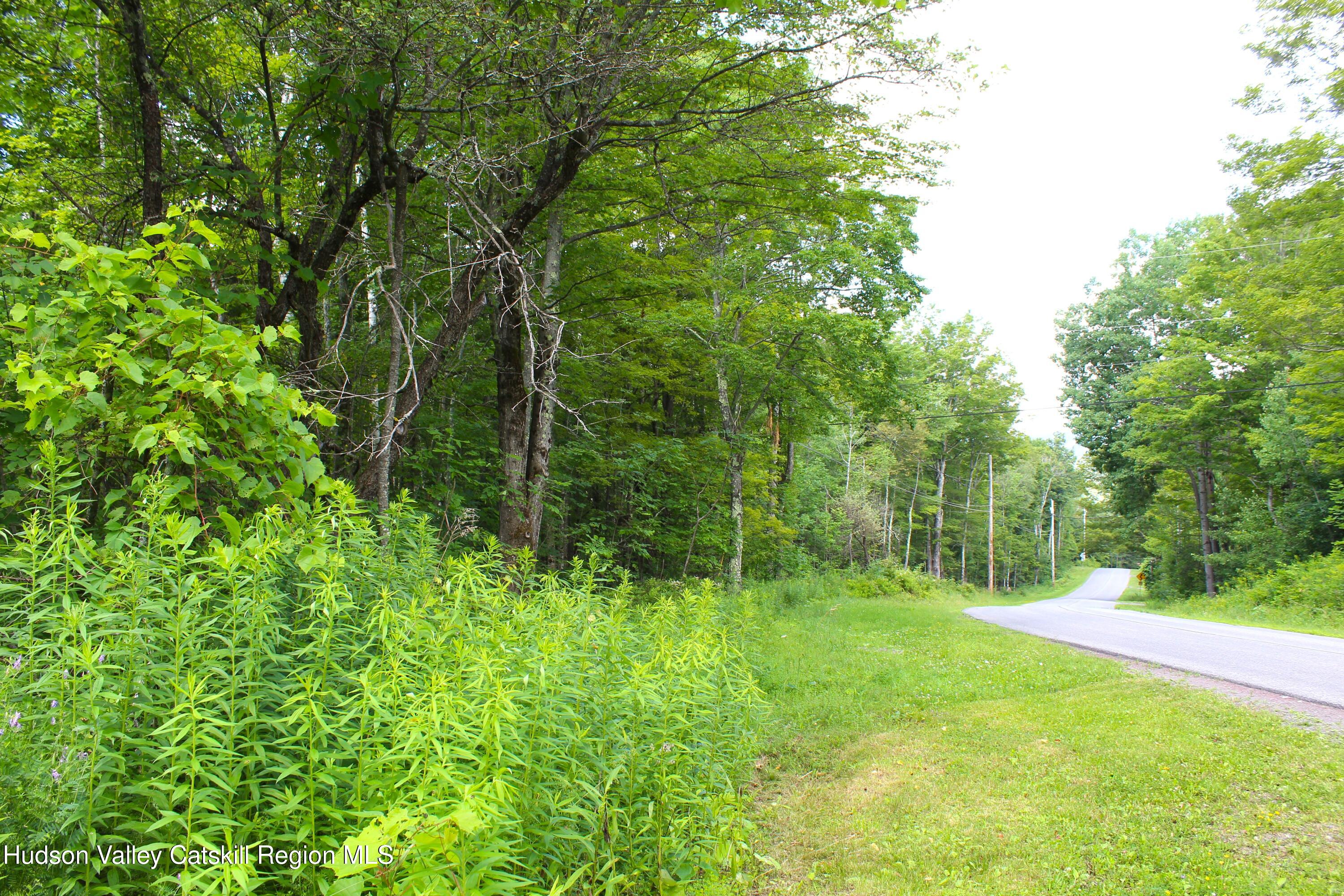 174 High Peak Road Windham, NY 12439 - Photo 4 of 11 Photo 3