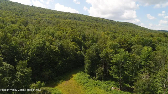 $100,000 | 174 High Peak Road, Windham, NY 12439