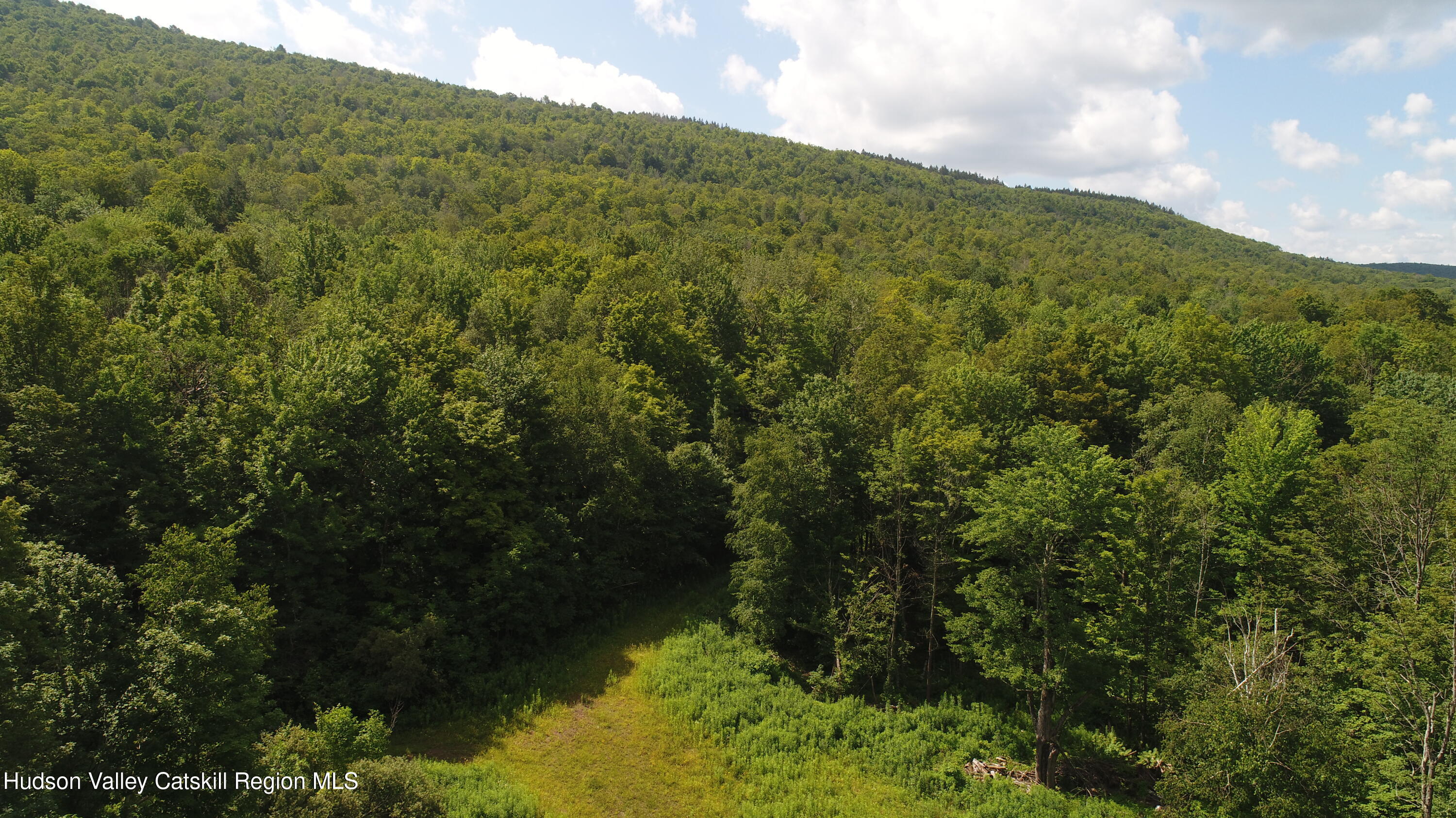 174 High Peak Road Windham, NY 12439 - Photo 6 of 11 Aerial 1