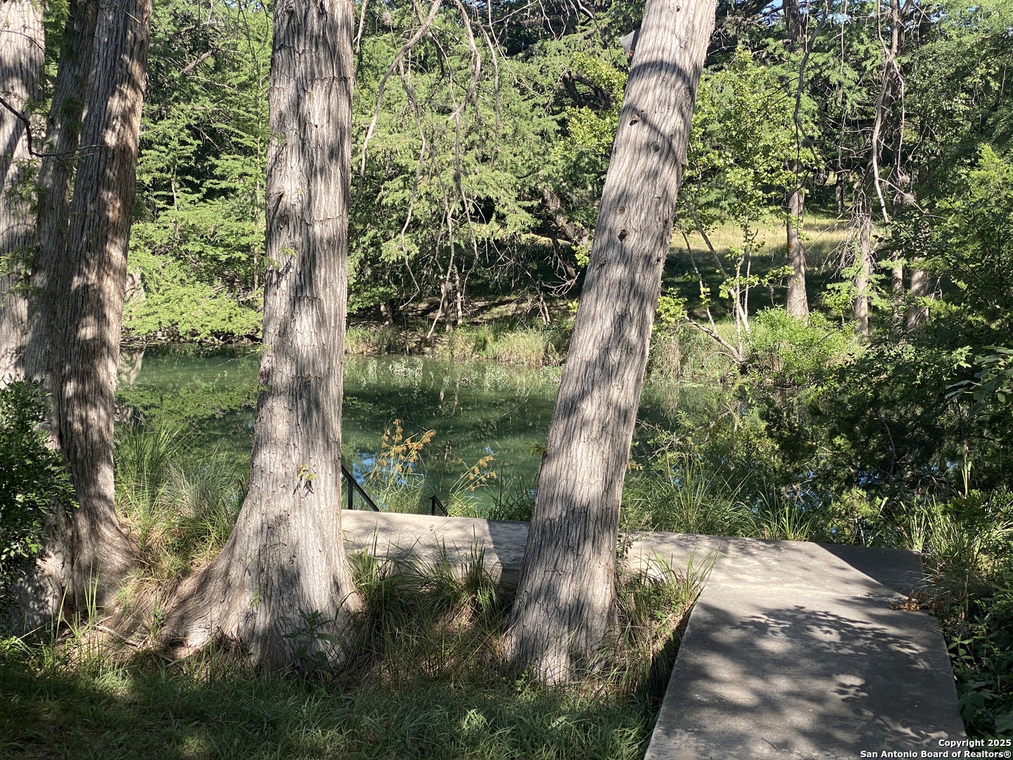 935 Ridge Loop Rio Frio, TX 78879 - Photo 12 of 23 a picture of tree