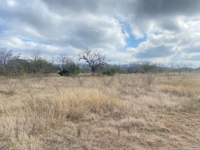 a view of a dry yard
