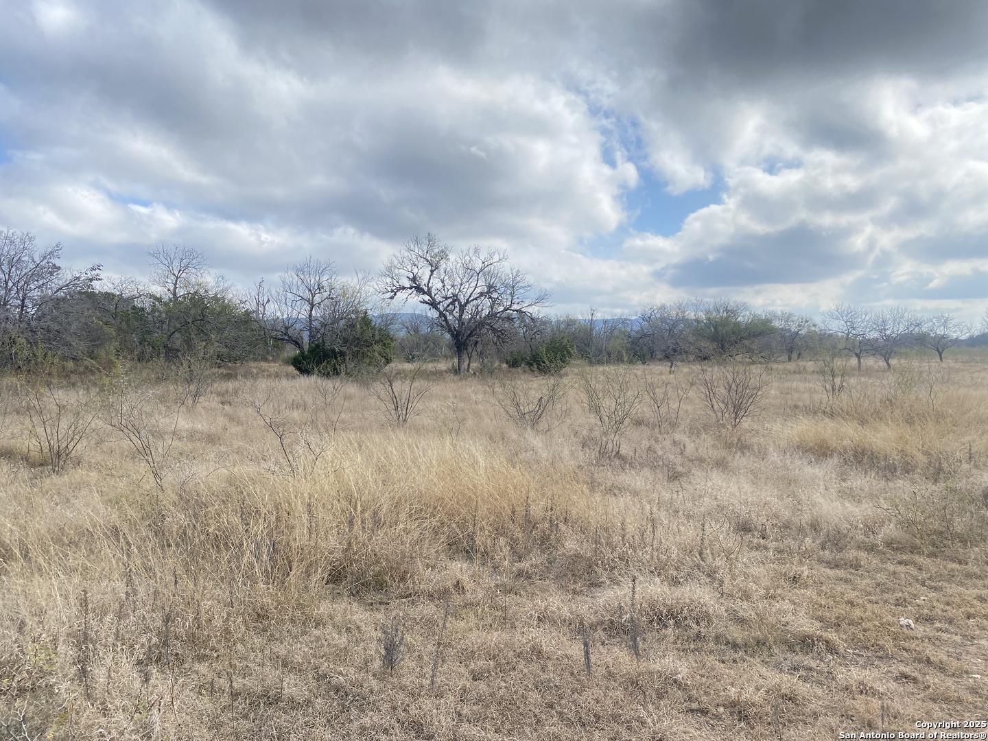 935 Ridge Loop Rio Frio, TX 78879 - Photo 17 of 23 a view of a dry yard