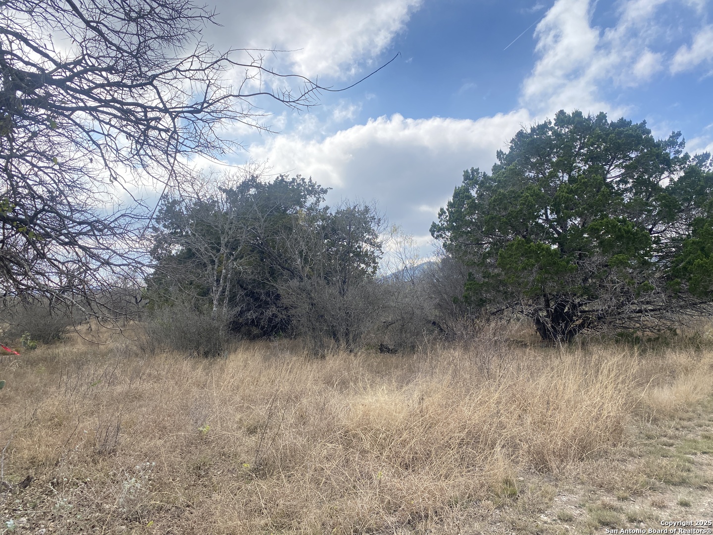 935 Ridge Loop Rio Frio, TX 78879 - Photo 18 of 23 a view of a forest
