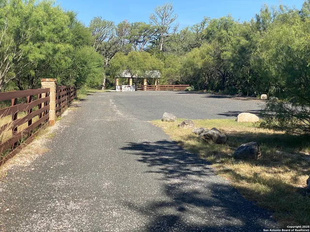 a view of a yard with trees