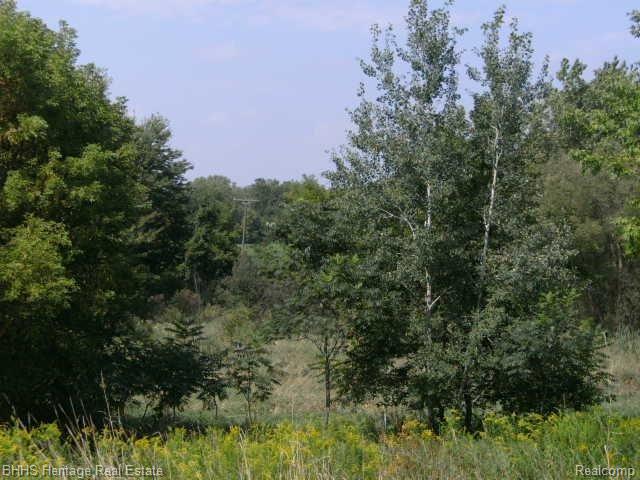 5495 Van Orden Road Webberville, MI 48892 - Photo 16 of 18 022.JPG