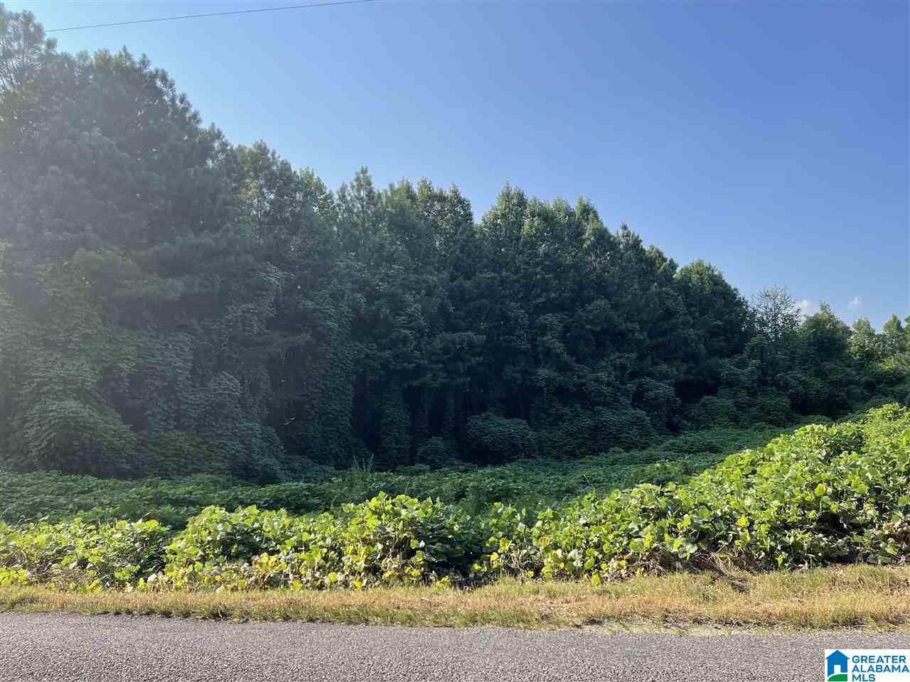 0 Pine Mountain Road Remlap, AL 35133 - Photo 1 of 7