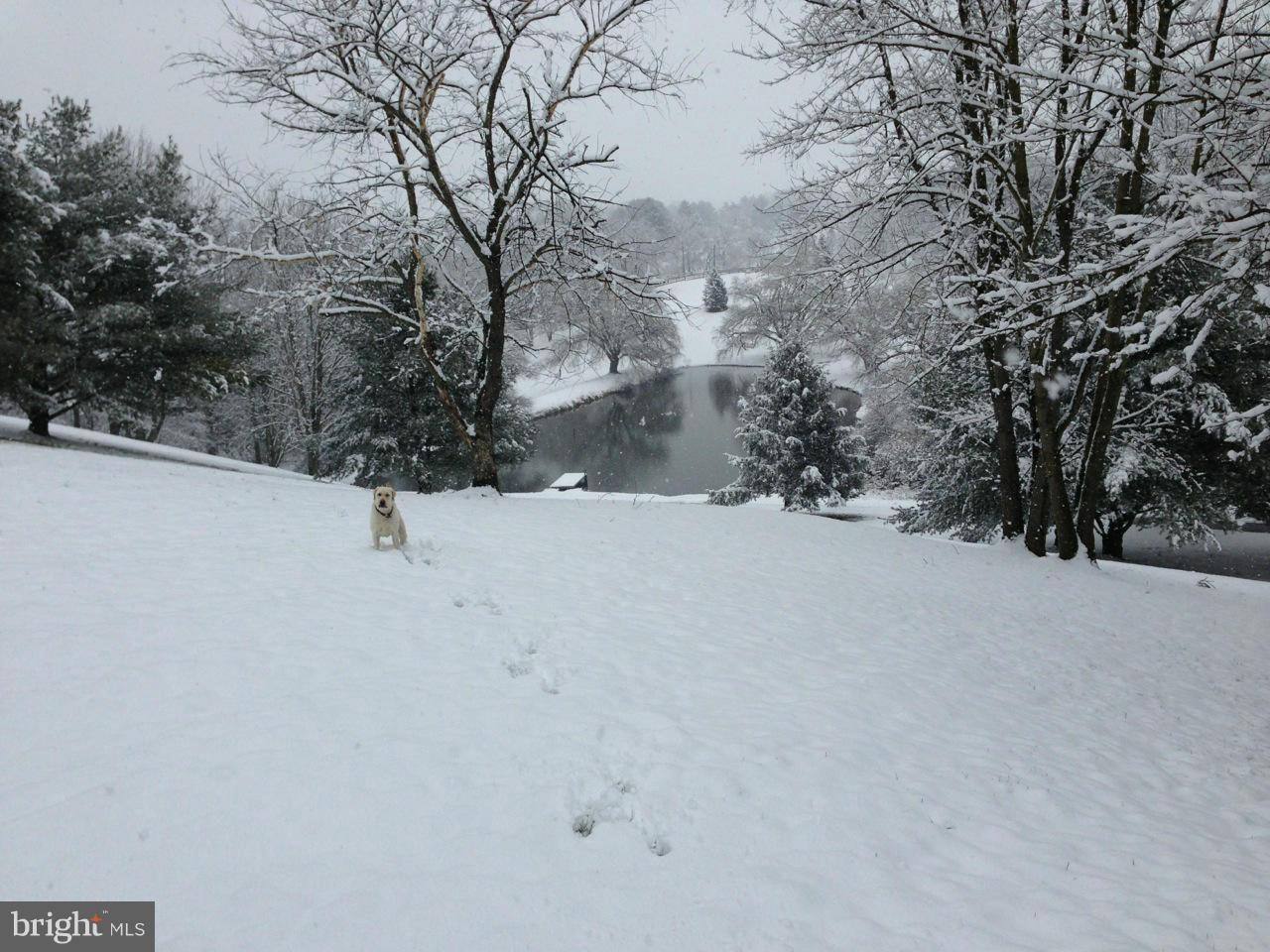 2201 Corbett Road Monkton, MD 21111 - Photo 25 of 30 a view of a covered with snow in the yard