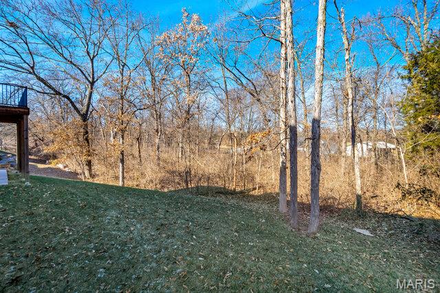 623 Castle Ridge Drive Wentzville, MO 63385 - Photo 63 of 64