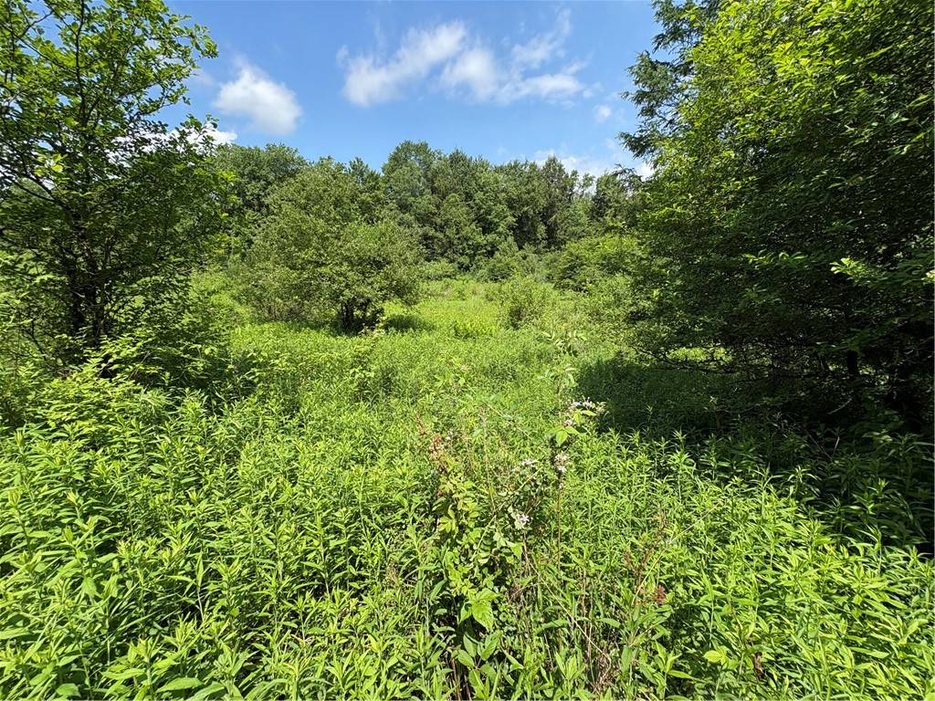 Stage Road South Otselic, NY 13155 - Photo 20 of 29