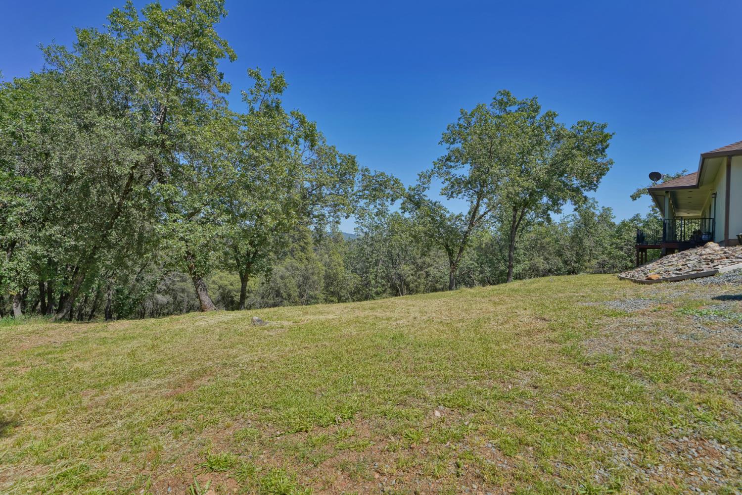 2469 Secret Ravine Trail Cool, CA 95614 - Photo 46 of 80