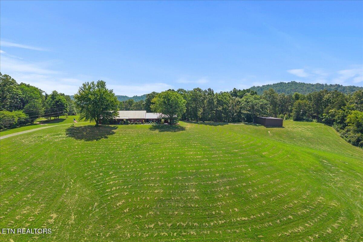 910 Reagan Valley Road Tellico Plains, TN 37385 - Photo 41 of 49 41