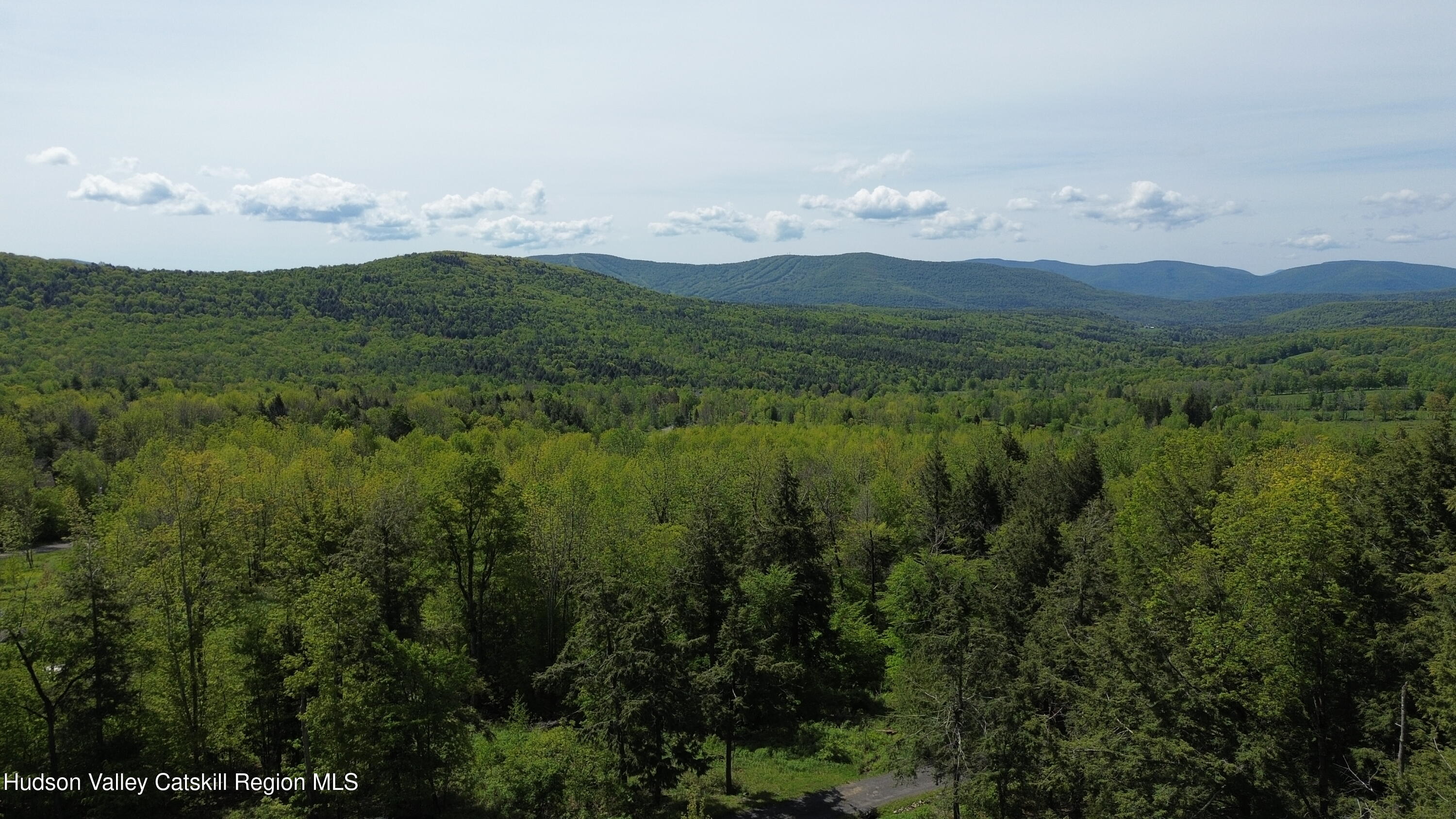 16 High W Road Windham, NY 12496 - Photo 4 of 75 DJI_0137