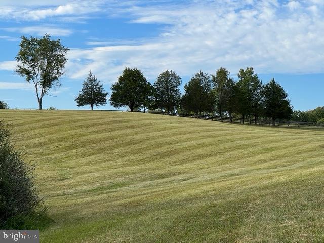 9781 Conde Road Marshall, VA 20115 - Photo 94 of 105 Gallery Image 94