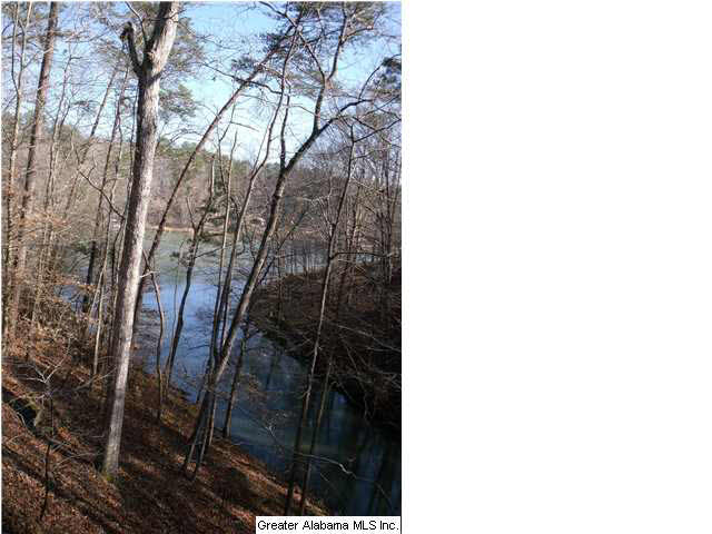 1085 River Ridge Drive Bessemer, AL 35023 - Photo 3 of 14