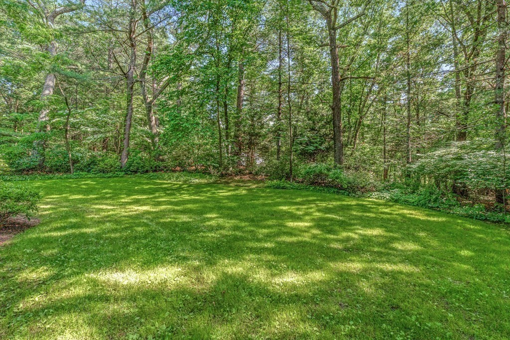 255 Westerly Road Weston, MA 02493 - Photo 2 of 35 a view of a grassy field with trees