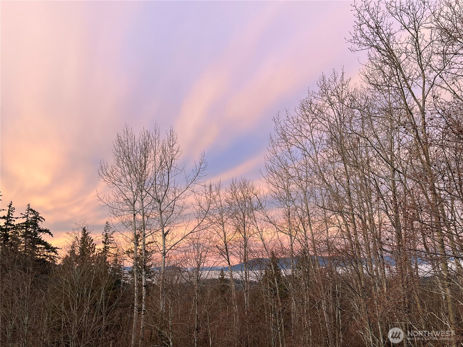 1910 40th Street Bellingham, WA 98229 - Photo 36 of 40