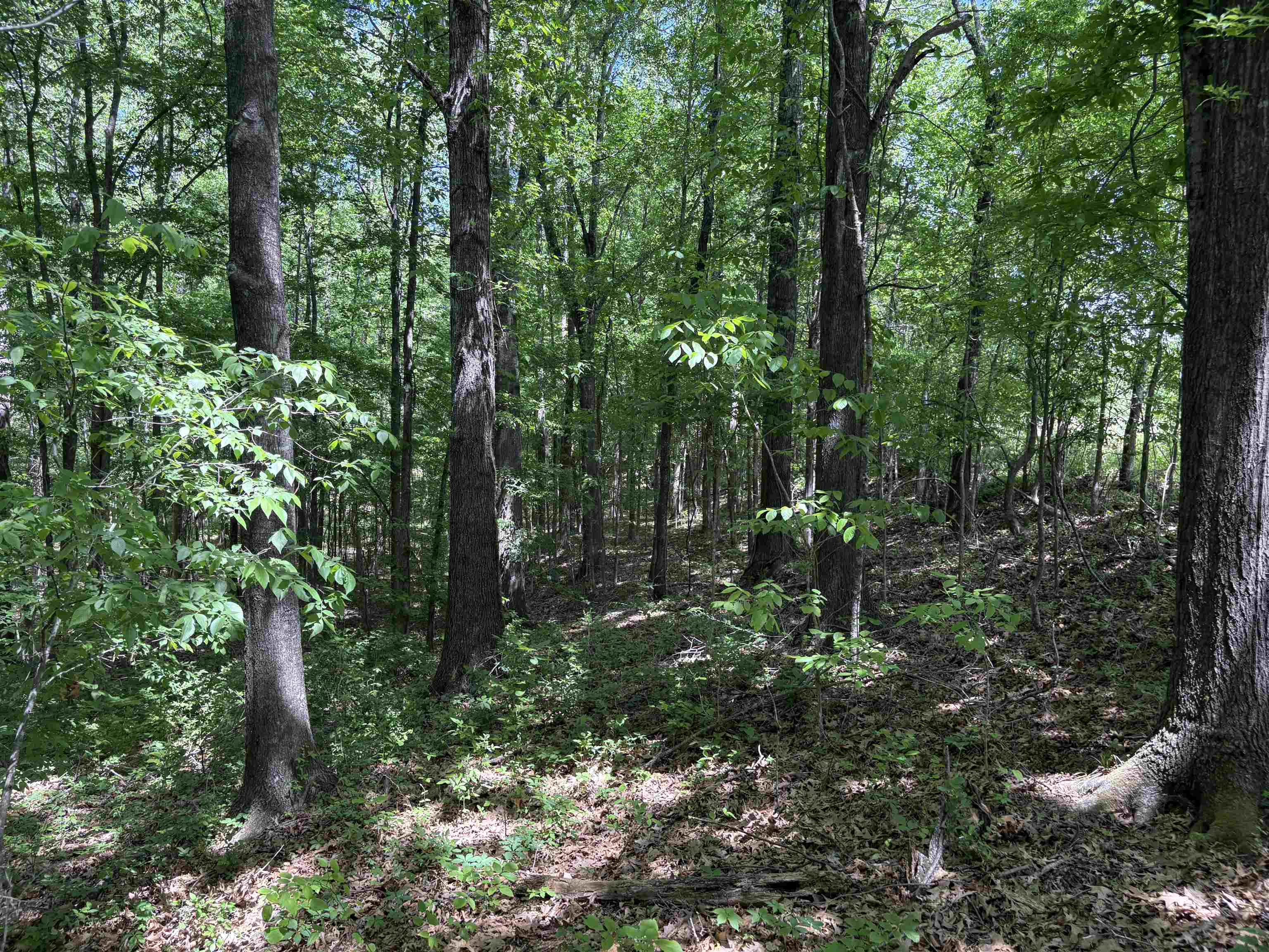 0 Osborntown Road, Unit 30 Arlington, TN 38002 - Photo 19 of 20