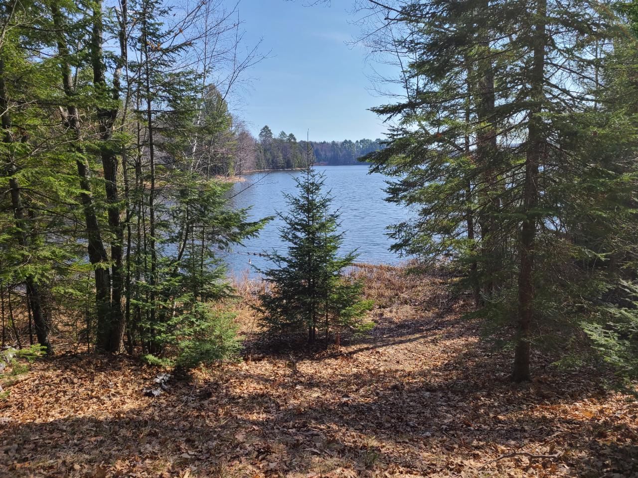 Off Off Bertland Rd Lake Harshaw, WI 54529 - Photo 1 of 19 Gallery Image 1