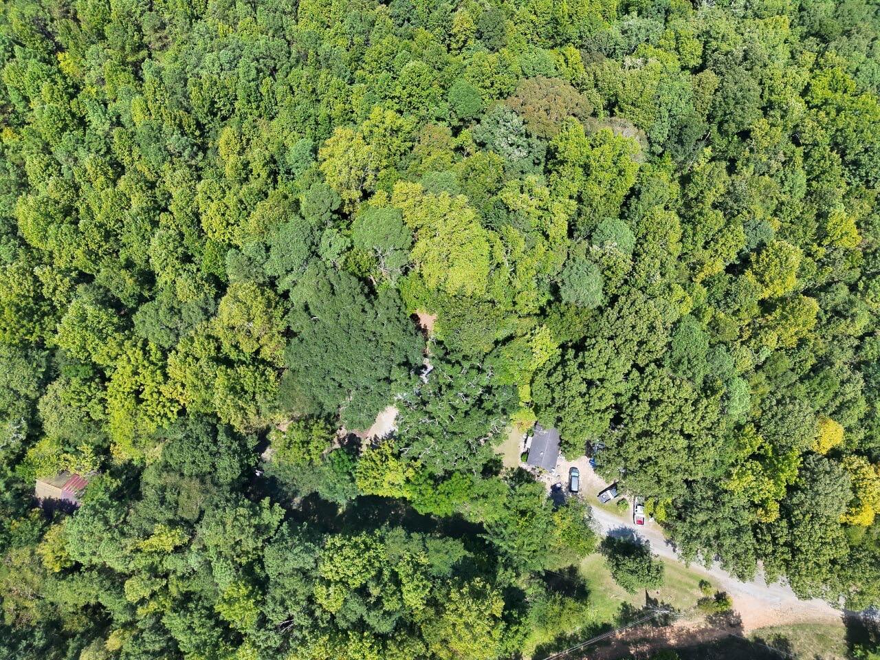 Doss Road Winfield, AL 35594 - Photo 2 of 10 Gallery Image 2
