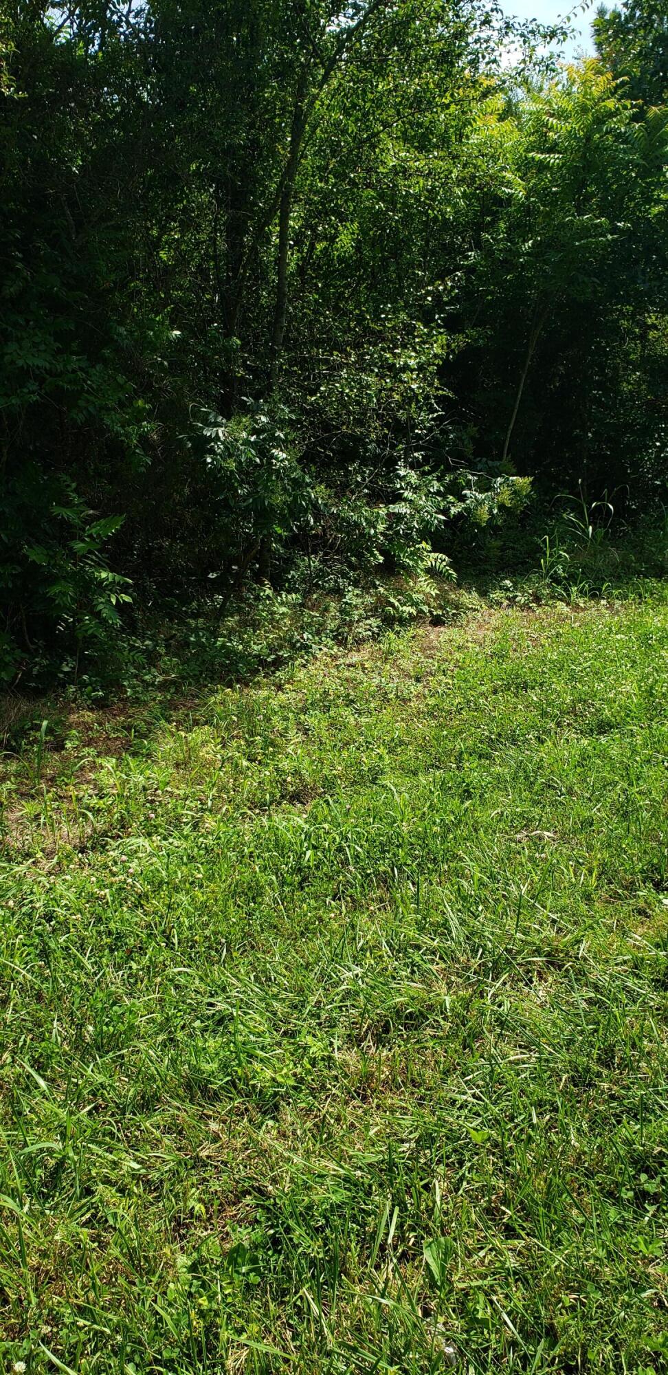 3.98 Lands Road Madisonville, TN 37354 - Photo 1 of 3 20210713_155351