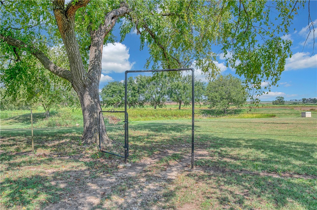443 Rost Road McGregor, TX 76657 - Photo 40 of 71