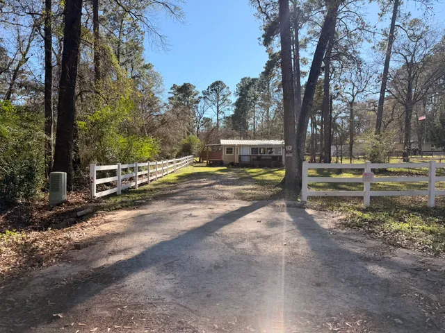 a view of a park with large trees
