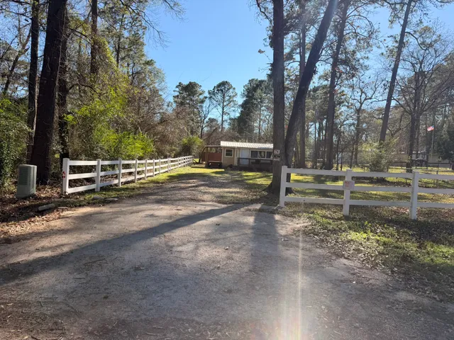 a park view with large trees