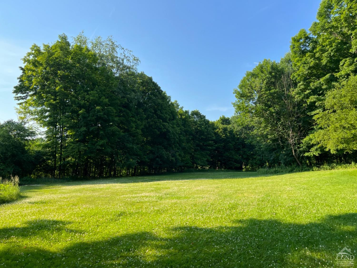 141 Phelps Road Chatham, NY 12136 - Photo 5 of 10 Photo 5