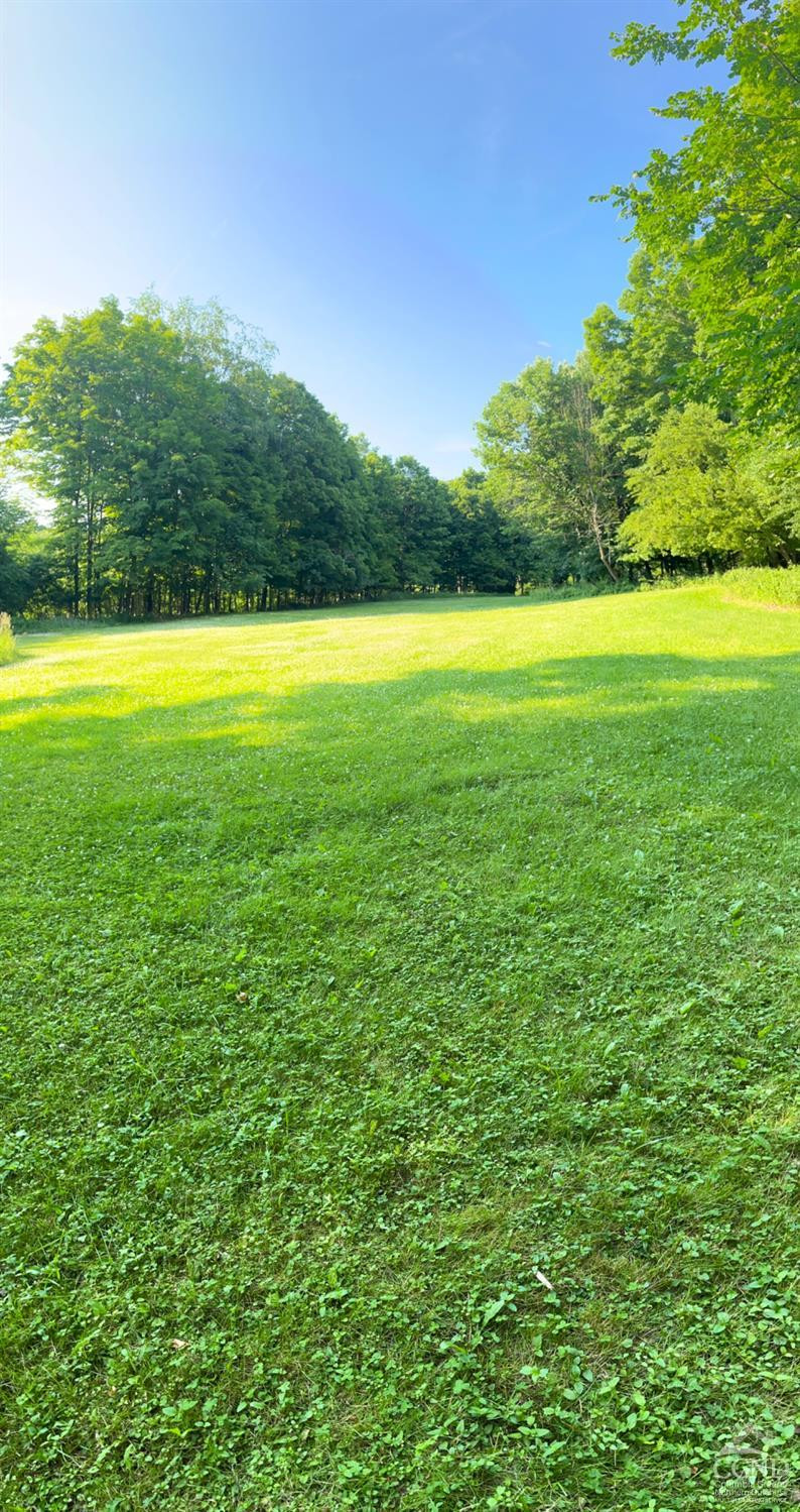 141 Phelps Road Chatham, NY 12136 - Photo 6 of 10 Photo 6