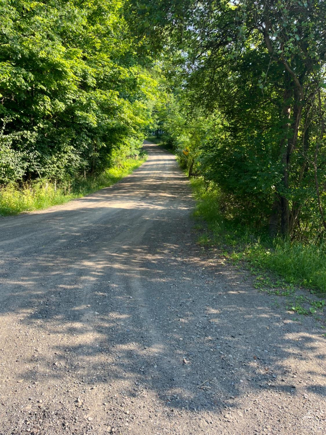 141 Phelps Road Chatham, NY 12136 - Photo 9 of 10 Photo 9