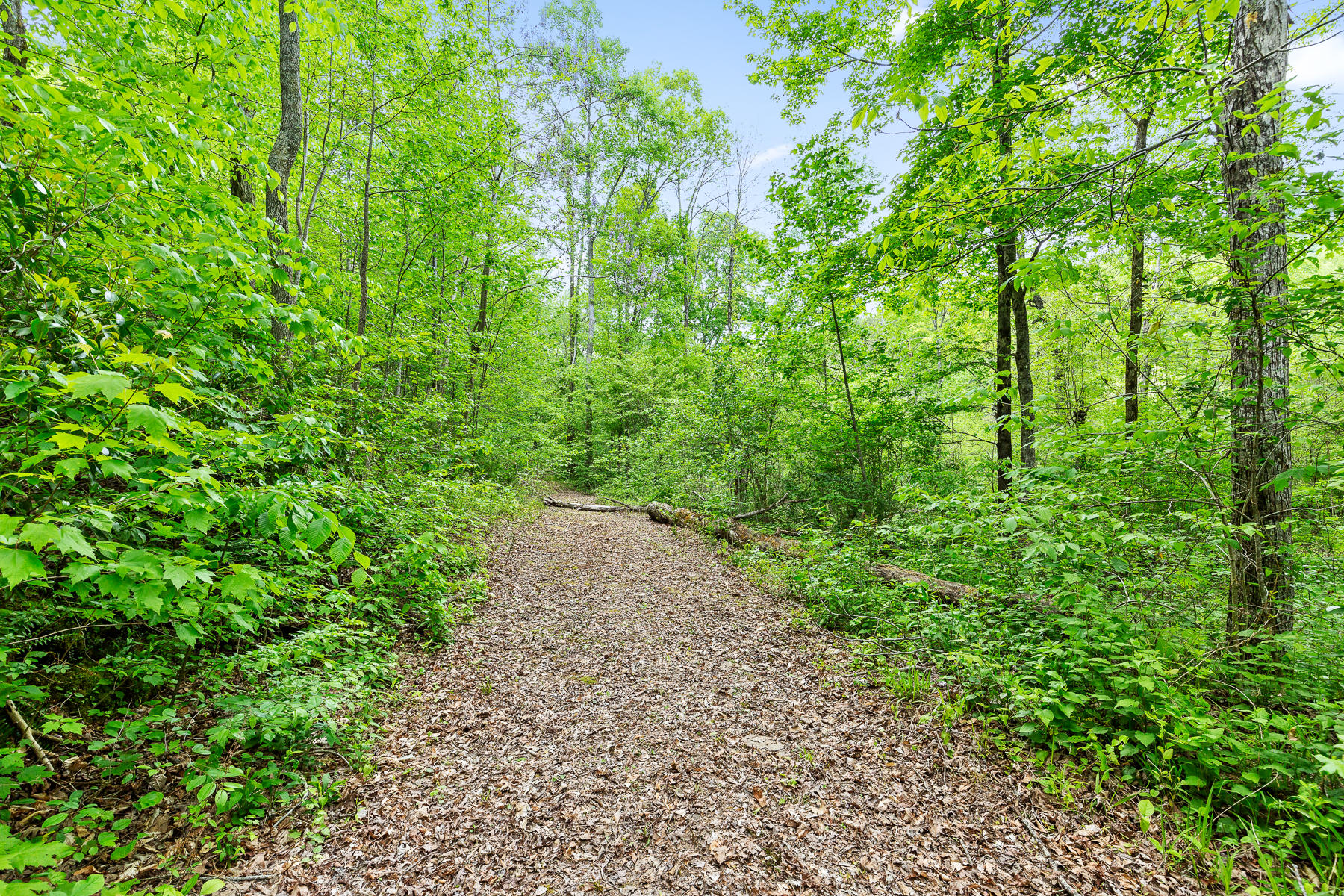 396 Savage Point Road Dunlap, TN 37327 - Photo 45 of 53 Savage (52 of 61)