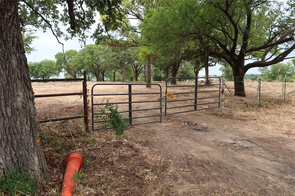 Tbd Upper Montague Road Bowie, TX 76230 - Photo 3 of 15 a view of backyard with tree