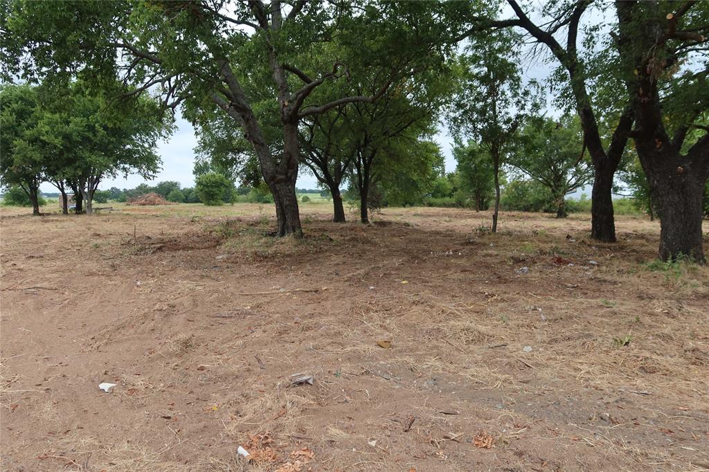 Tbd Upper Montague Road Bowie, TX 76230 - Photo 7 of 15 a view of a tree in the middle of a yard