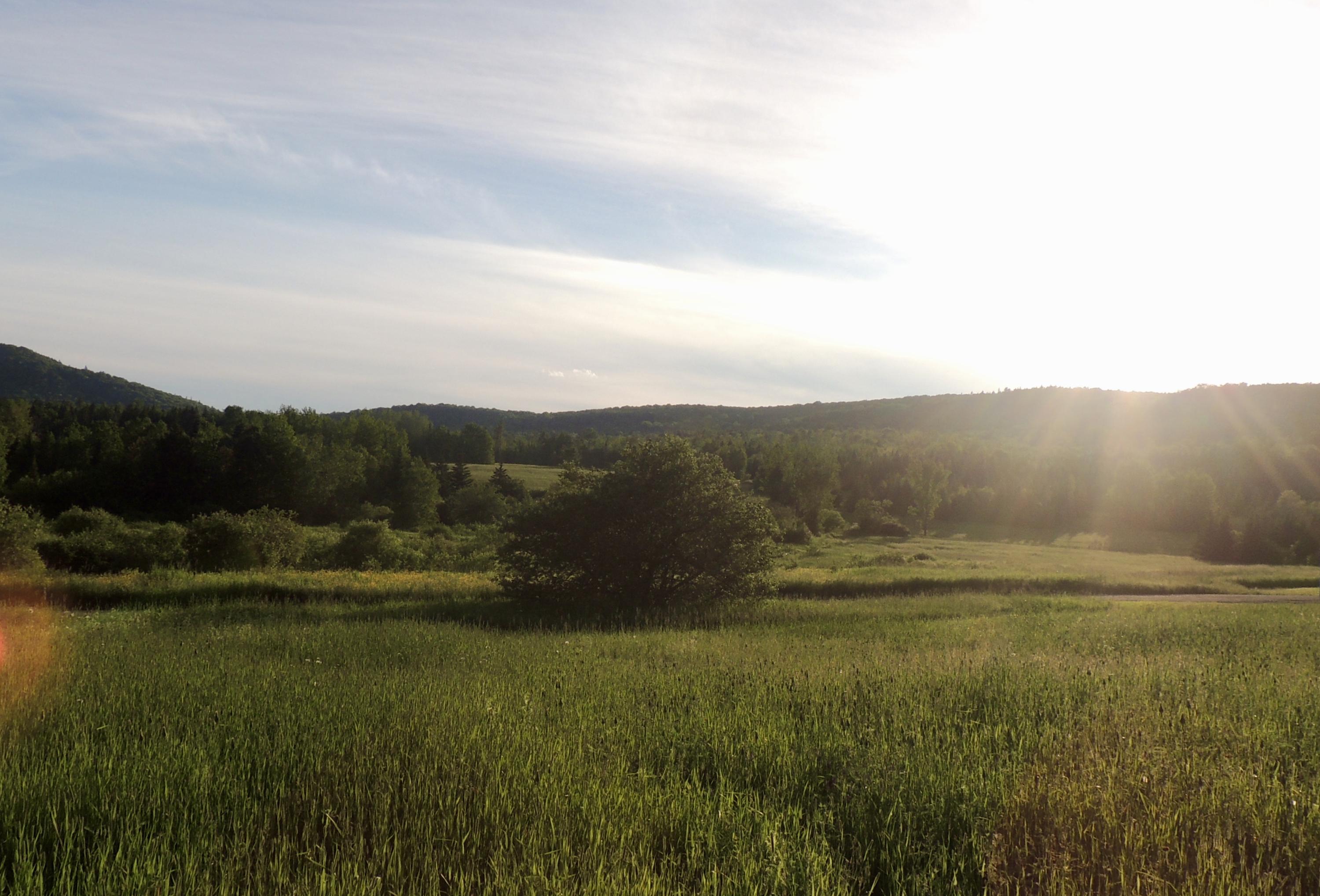 Map7-lot7 West Chapman Road Mapleton, ME 04757 - Photo 5 of 35 fullsizeoutput_bd