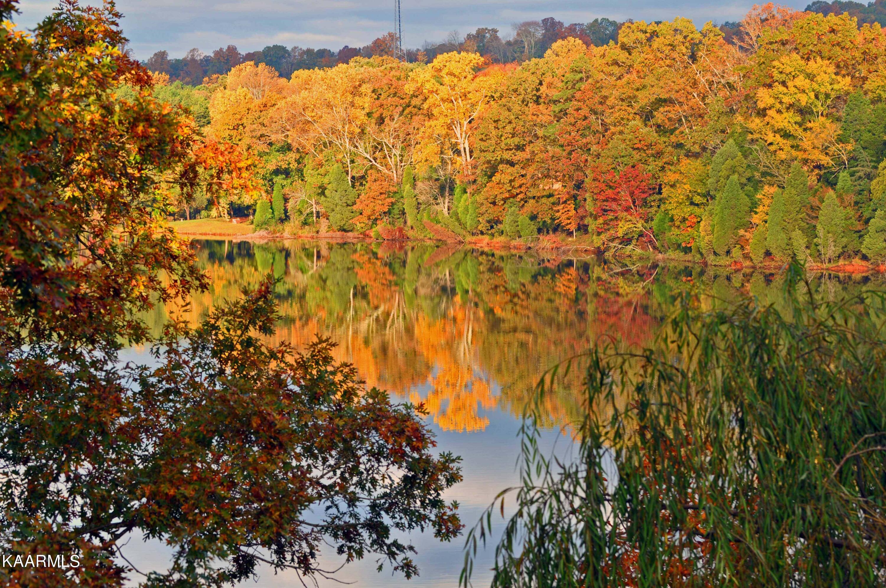 260 Bay Point Road Vonore, TN 37885 - Photo 10 of 14 lake-reflections2