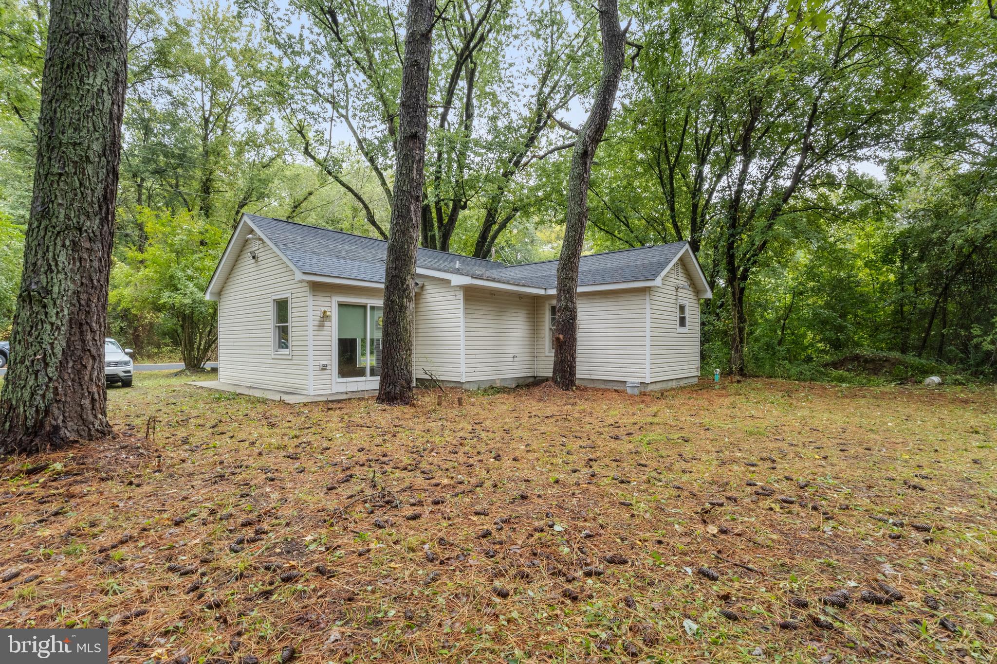 26471 3 Bridges Road Federalsburg, MD 21632 - Photo 13 of 14 a backyard of a house with plants and large tree