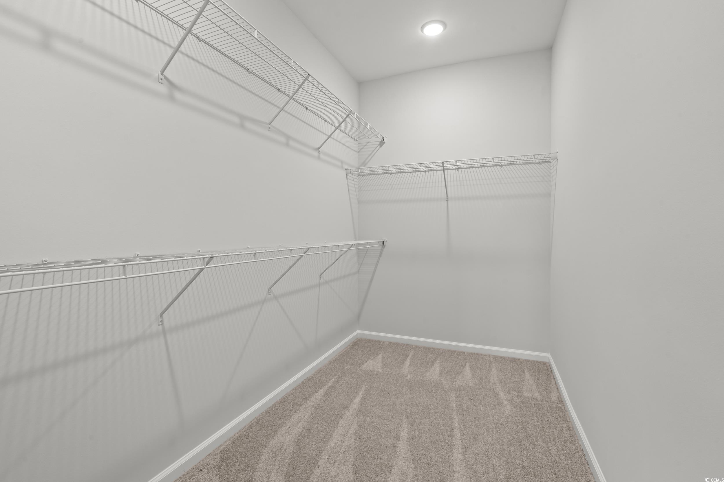 267 Stillbrook Drive Longs, SC 29568 - Photo 18 of 37 Walk in closet featuring light colored carpet