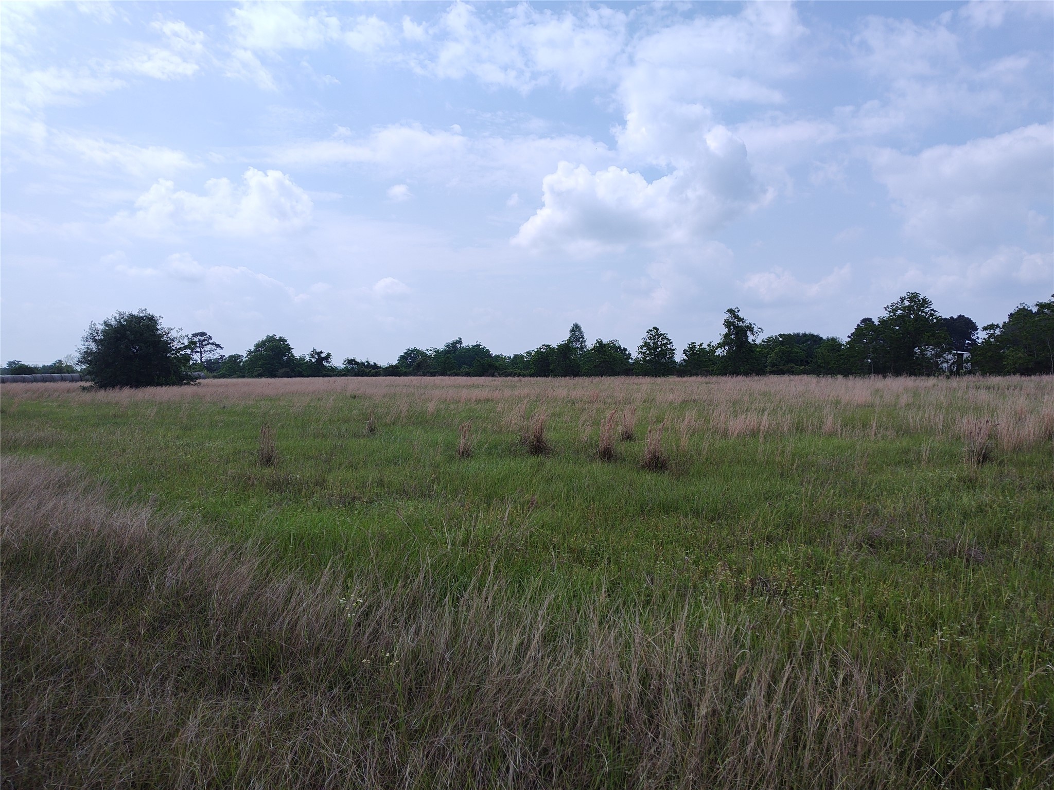 19709 Becker Road Hockley, TX 77447 - Photo 4 of 7