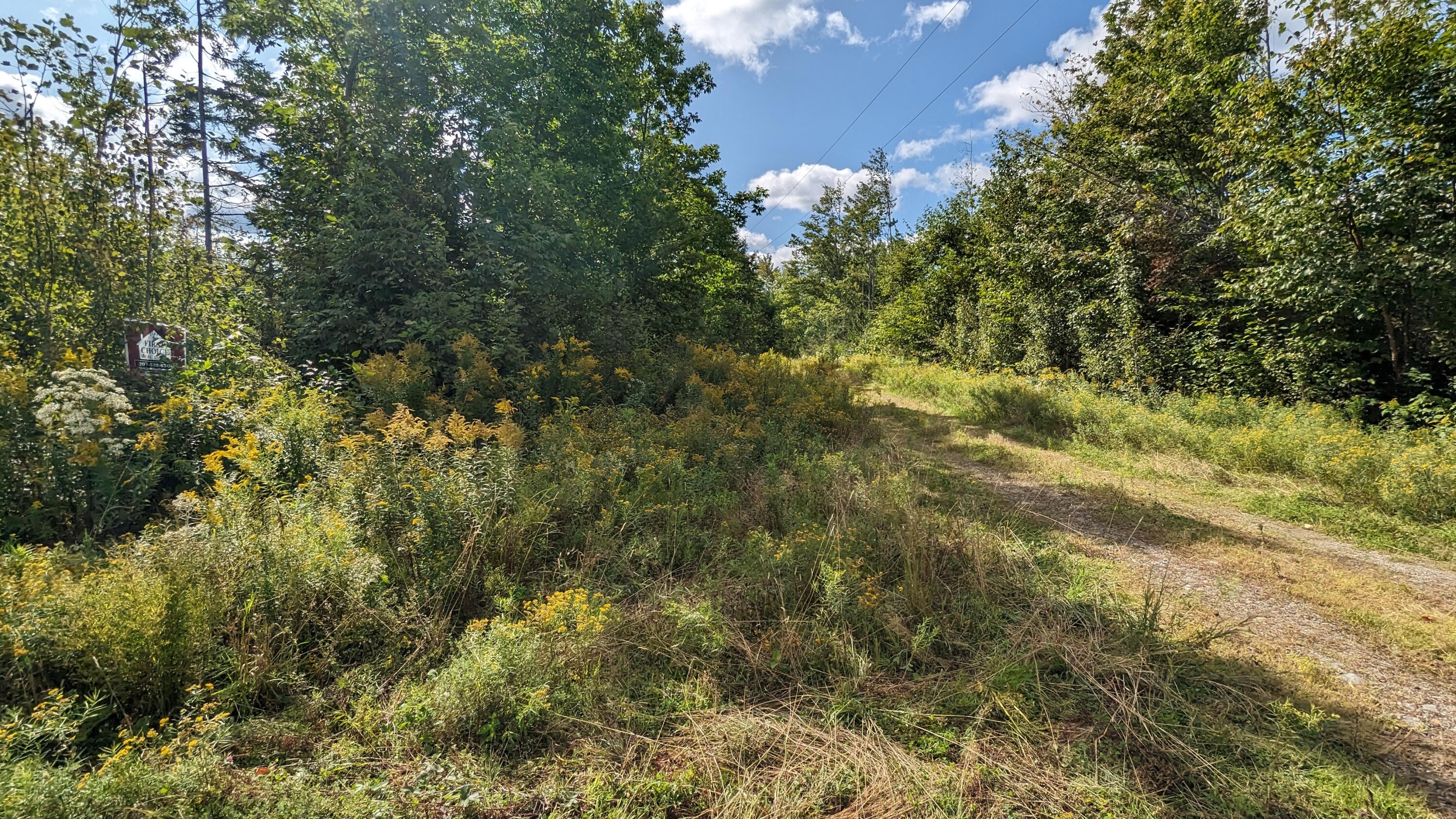 6 Off Hemore Road Houlton, ME 04730 - Photo 11 of 12 PXL_20230831_135735298