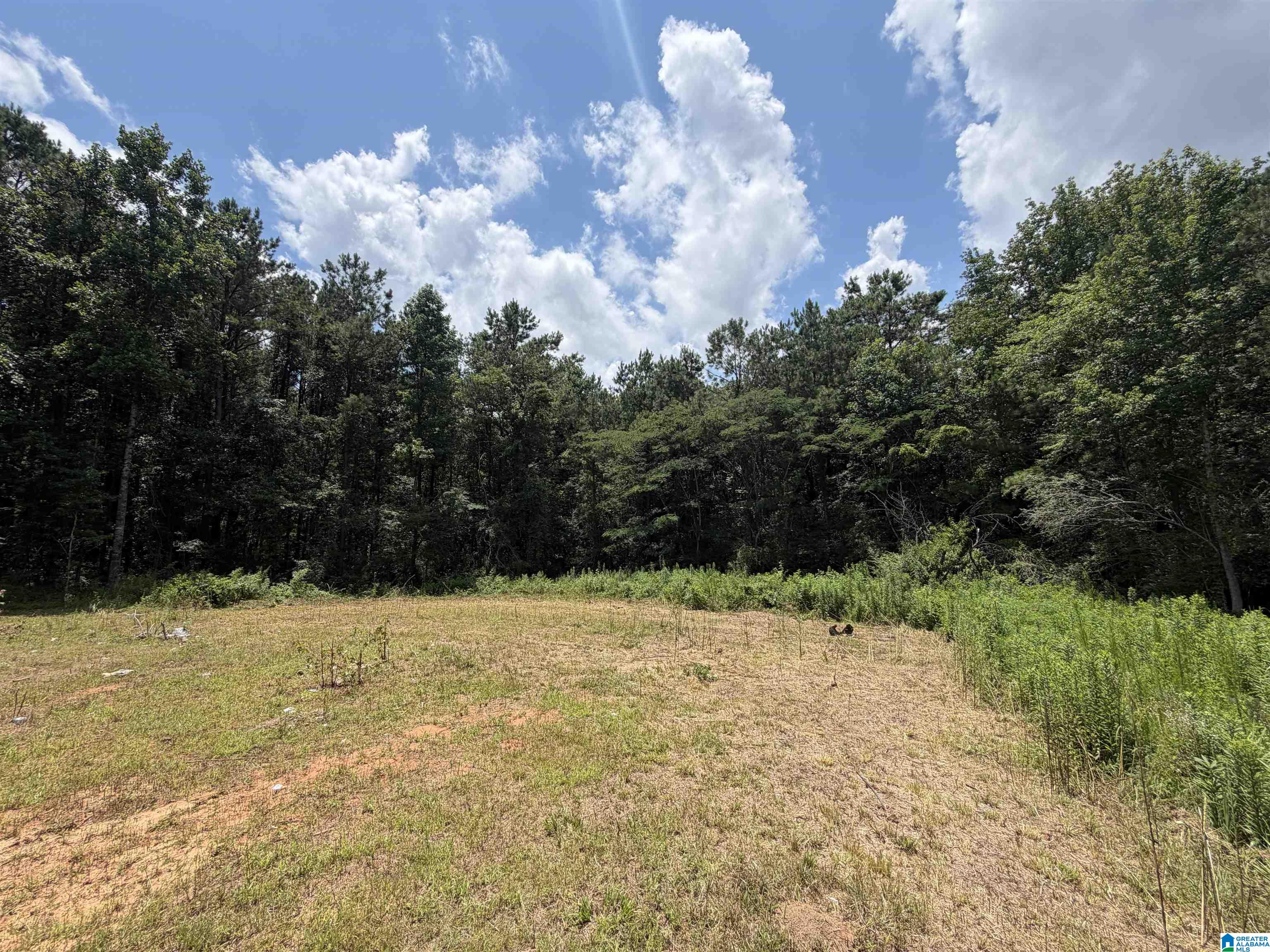402 Reed Road Jasper, AL 35504 - Photo 2 of 4