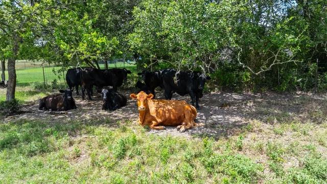 $9,500,000 | 100 Rundberg Drive, Jarrell, TX 76537
