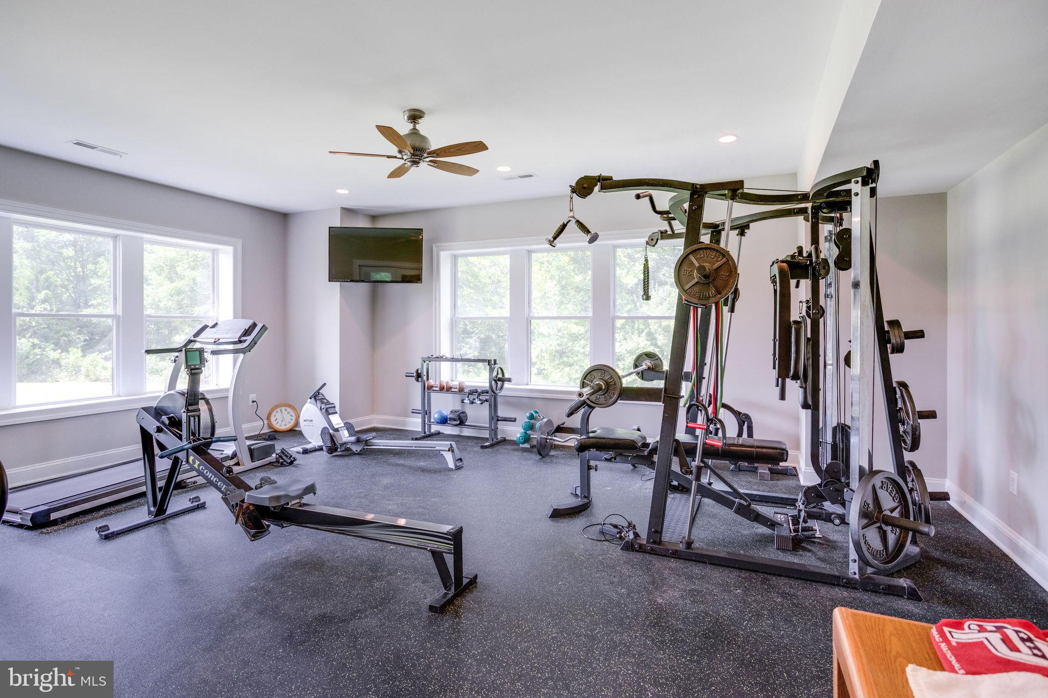 41820 Reservoir Road Leesburg, VA 20175 - Photo 88 of 131 Lower Level Exercise Room