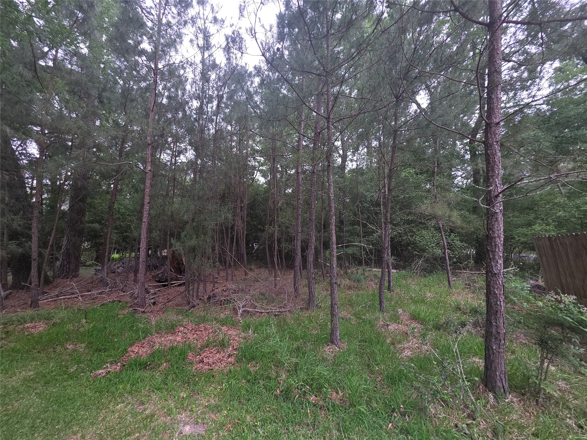 22468 Pebble Beach Way Point Blank, TX 77364 - Photo 8 of 22
