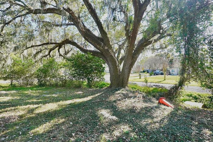 3675 Nicholas Circle South Jacksonville, FL 32207 - Photo 47 of 51