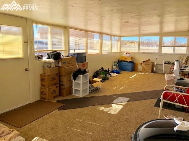 12595 Smith Road Peyton, CO 80831 - Photo 20 of 22 Gallery Image 20