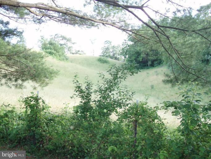 487 Rudasill Mill Road Woodville, VA 22749 - Photo 11 of 30 a view of a yard with a tree