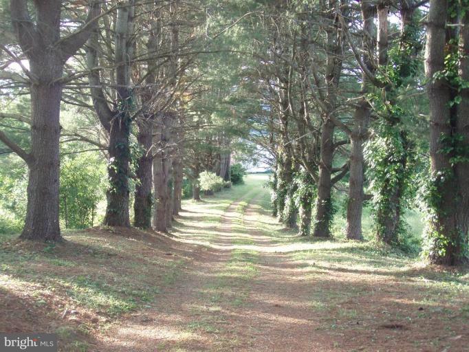 487 Rudasill Mill Road Woodville, VA 22749 - Photo 13 of 30 a view of a yard with large trees