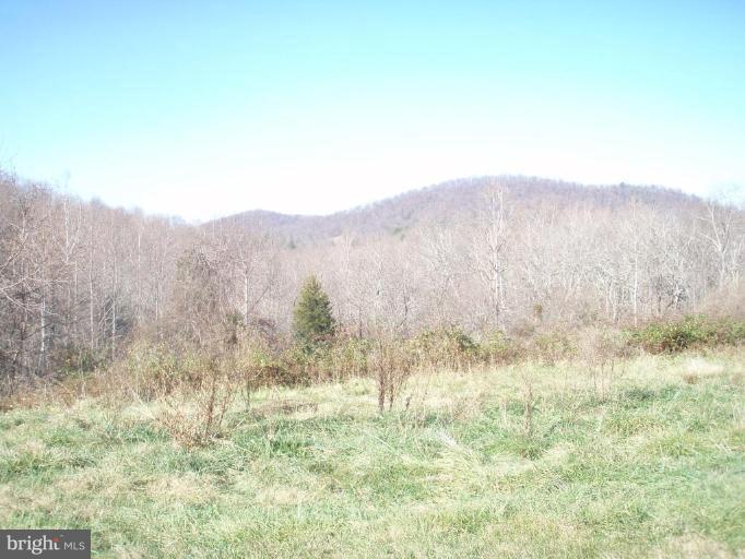 487 Rudasill Mill Road Woodville, VA 22749 - Photo 16 of 30 a view of a yard with mountains in the background